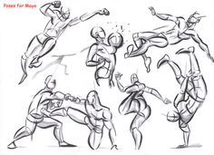 236x171 What You'Ll Be Creatinghares And Rabbits Are Often Confused