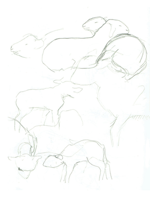 620x877 Joloringfisher Sketchbooks