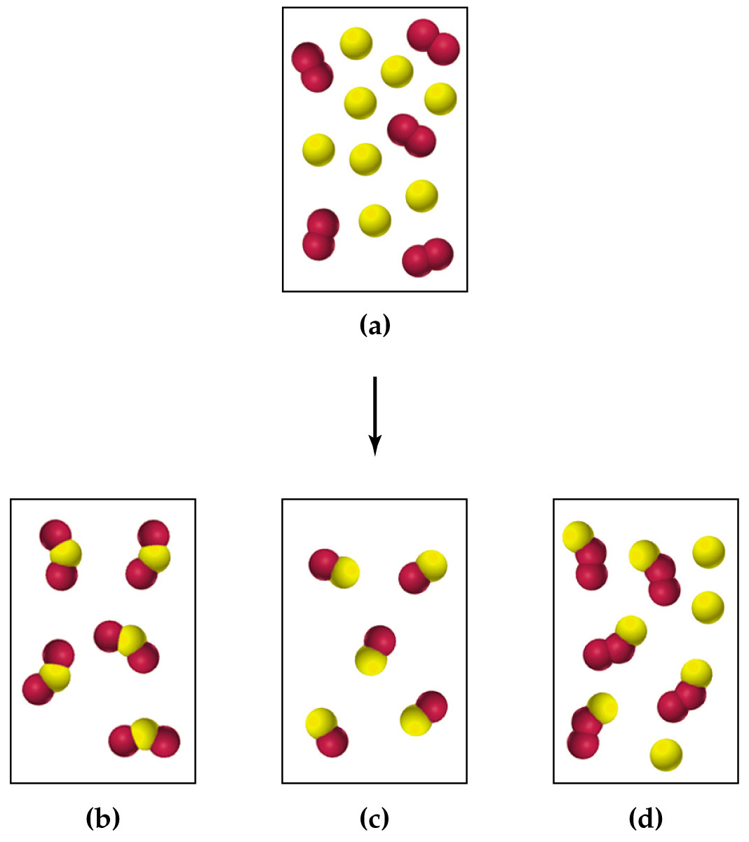 1068x1200 Media Portfolio