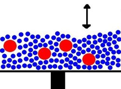 250x183 Segregated Nuts Ars Technica