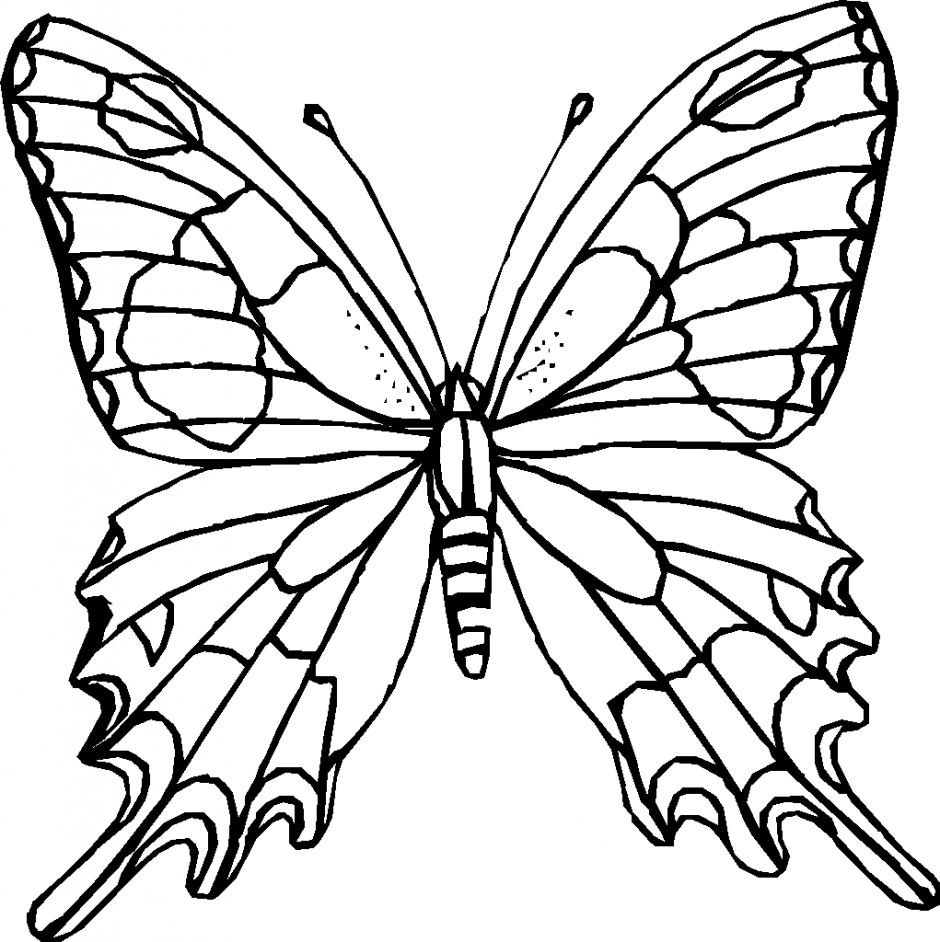 940x942 Butterfly Outline Drawings Monarch Butterfly Outline Free