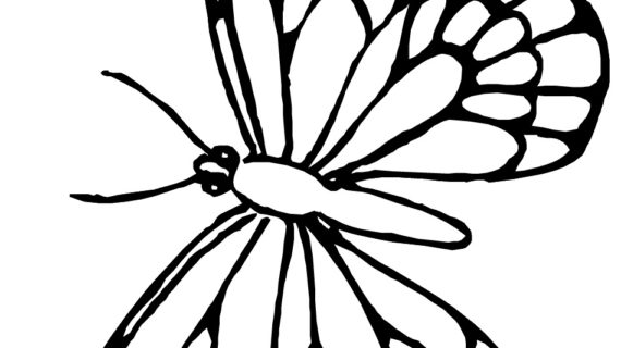 570x320 Monarch Butterfly Line Drawing Awesome Monarch Butterfly Coloring