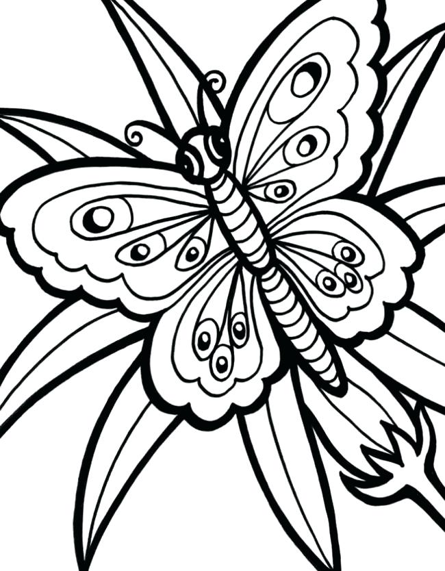 650x834 Monarch Butterfly Outline Drawing Clip Art Butterflies Black