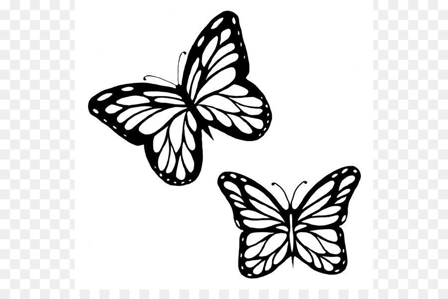 900x600 Monarch Butterfly Outline Drawing Clip Art Butterflies Black