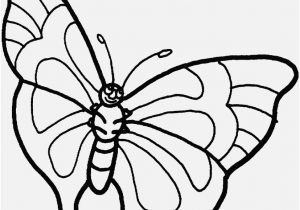 300x210 Monarch Butterfly Coloring Pages Shoot Life Cycle Of A Monarch
