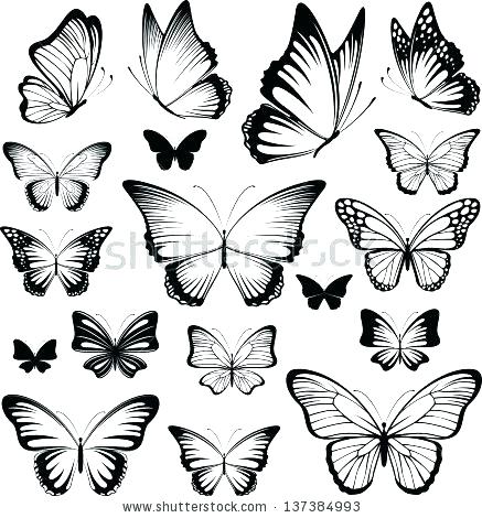 437x470 Clipart Butterfly Outline