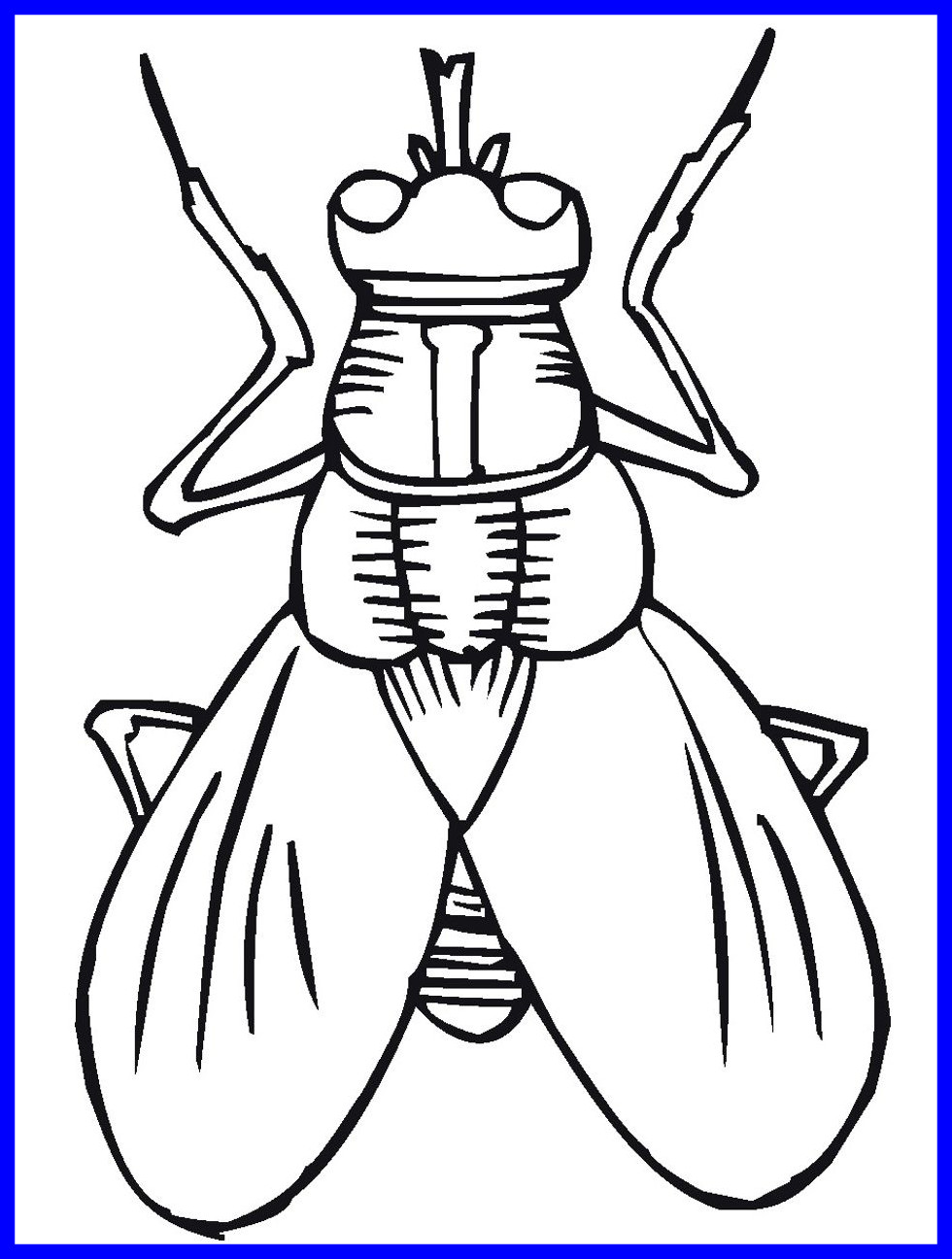 980x1296 Appealing Simple Flying Butterfly Drawing Butterflies For Monarch