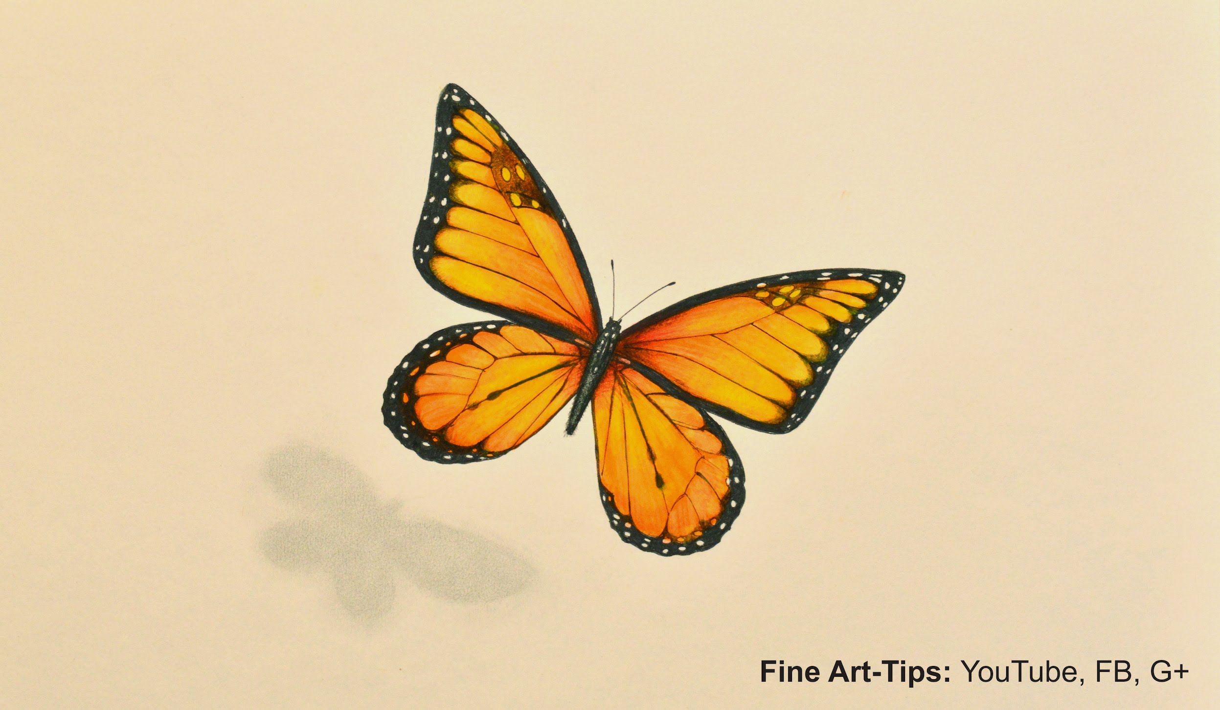 2494x1452 How To Draw A Monarch Butterfly With Markers And Color Pencils