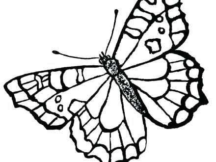 440x330 Coloring Page Of Butterfly Coloring Page Monarch Butterfly Life