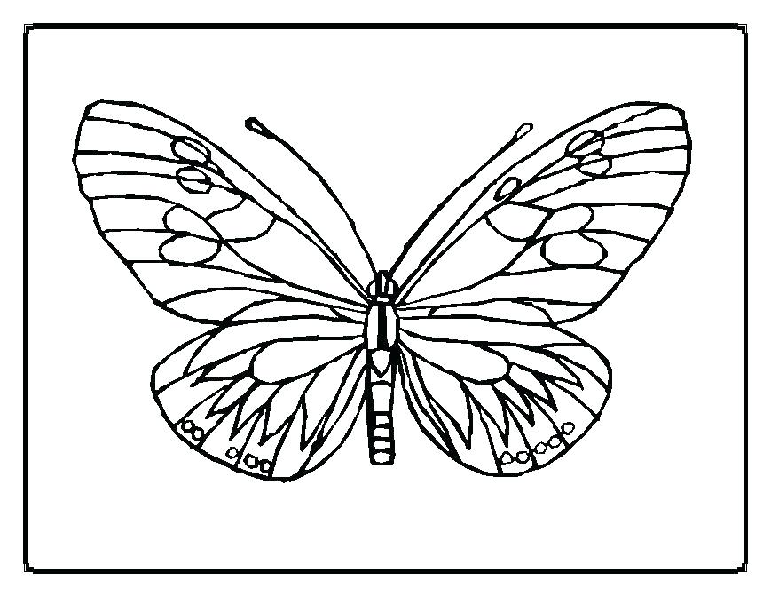 869x671 Luxury Monarch Butterfly Coloring Page And Butterfly Coloring