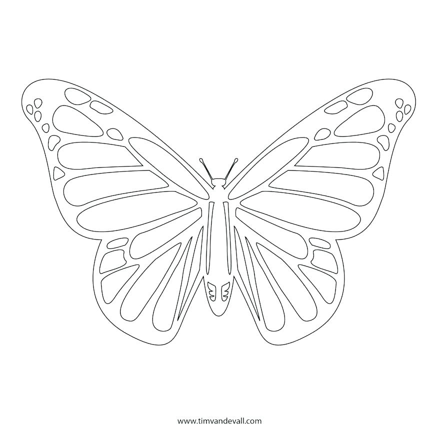 878x878 Monarch Butterfly Coloring Page Monarch Butterfly Coloring Page
