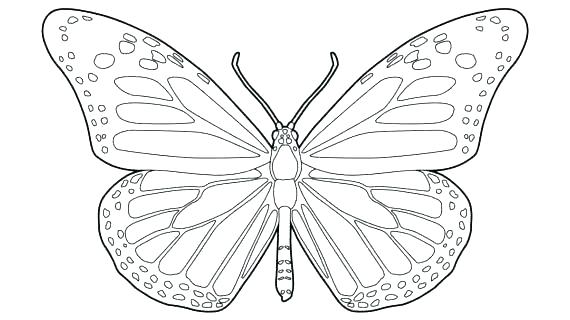 570x320 Monarch Butterfly Outline Drawing Clip Art Butterflies Black