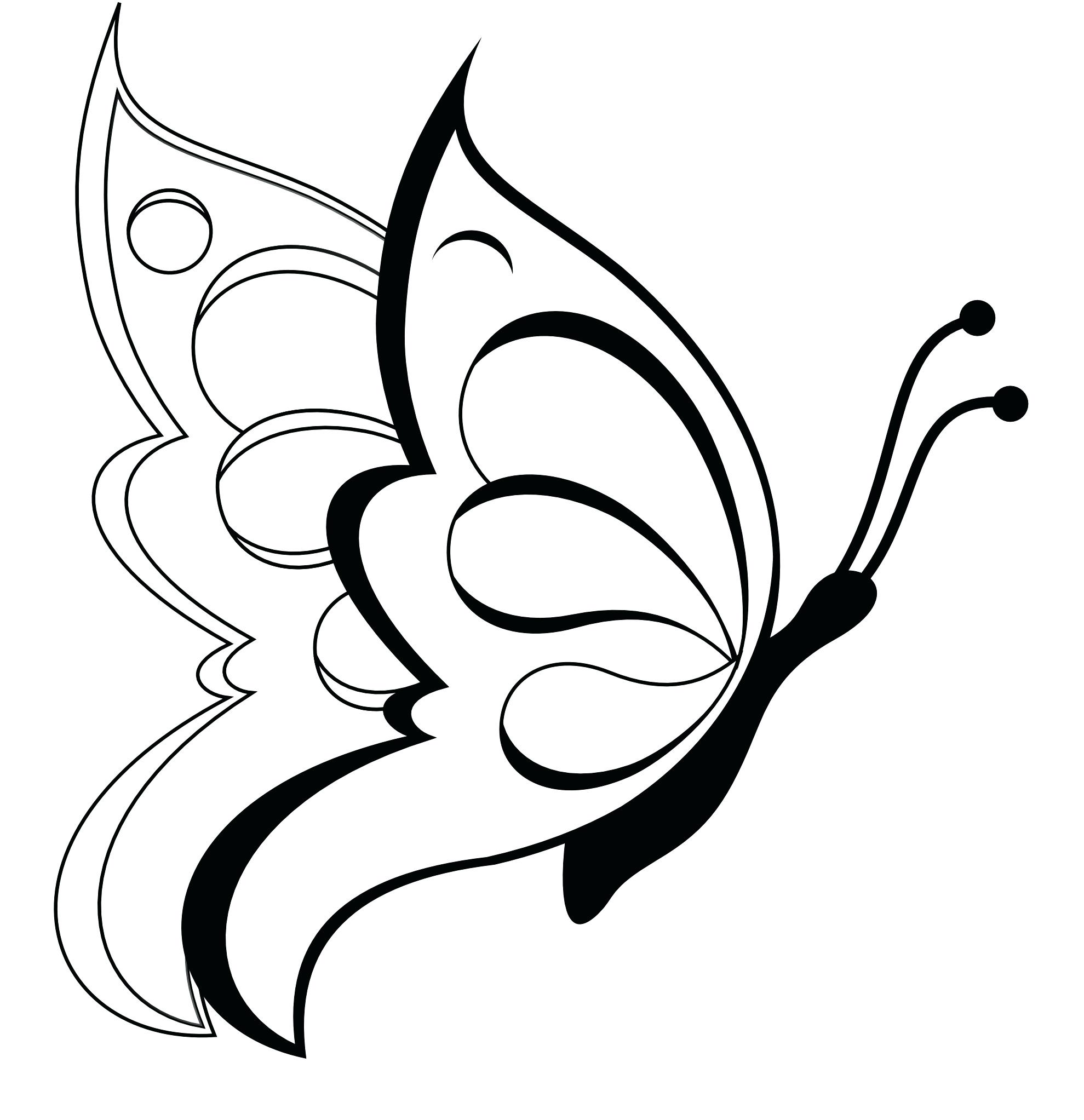 1979x2045 Coloring Page ~ Monarch Butterfly Coloring Page Size Outline Side
