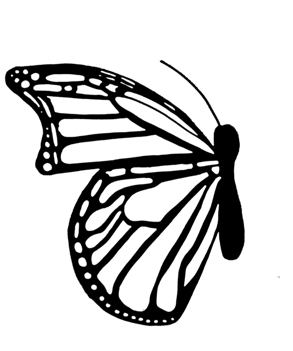 588x704 Collection Of One Side Butterfly Drawing High Quality, Free