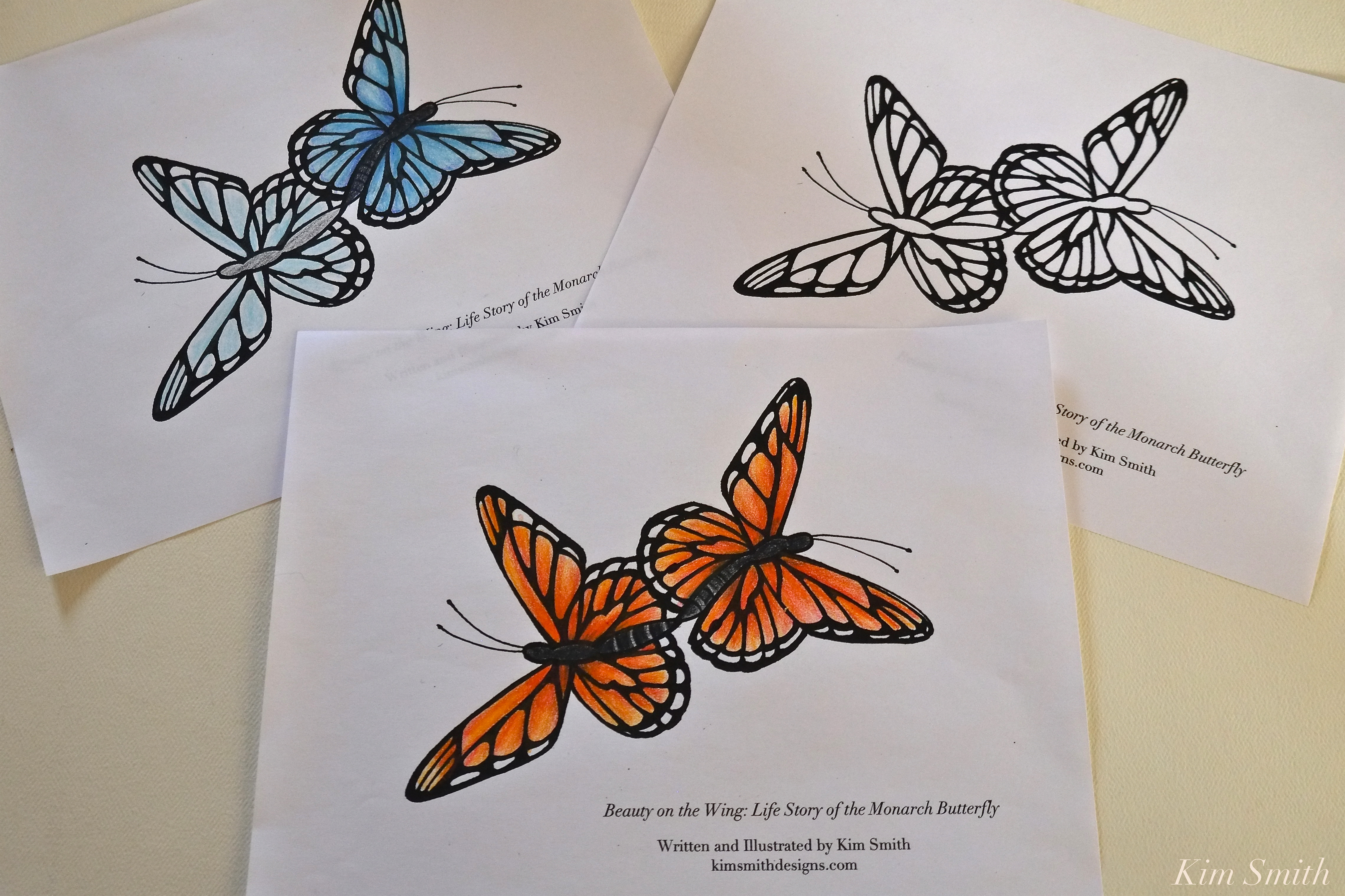 4560x3040 Monarch Butterfly Kim Smith Designs
