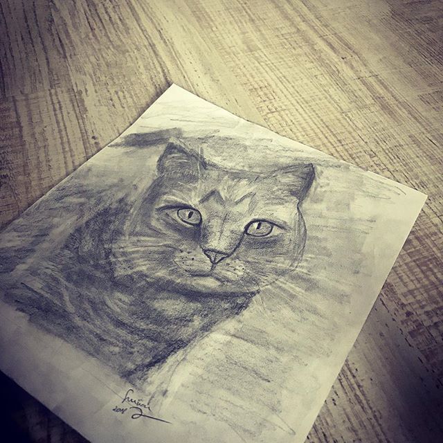 640x640 Quick Sketch While My Baby Naps )