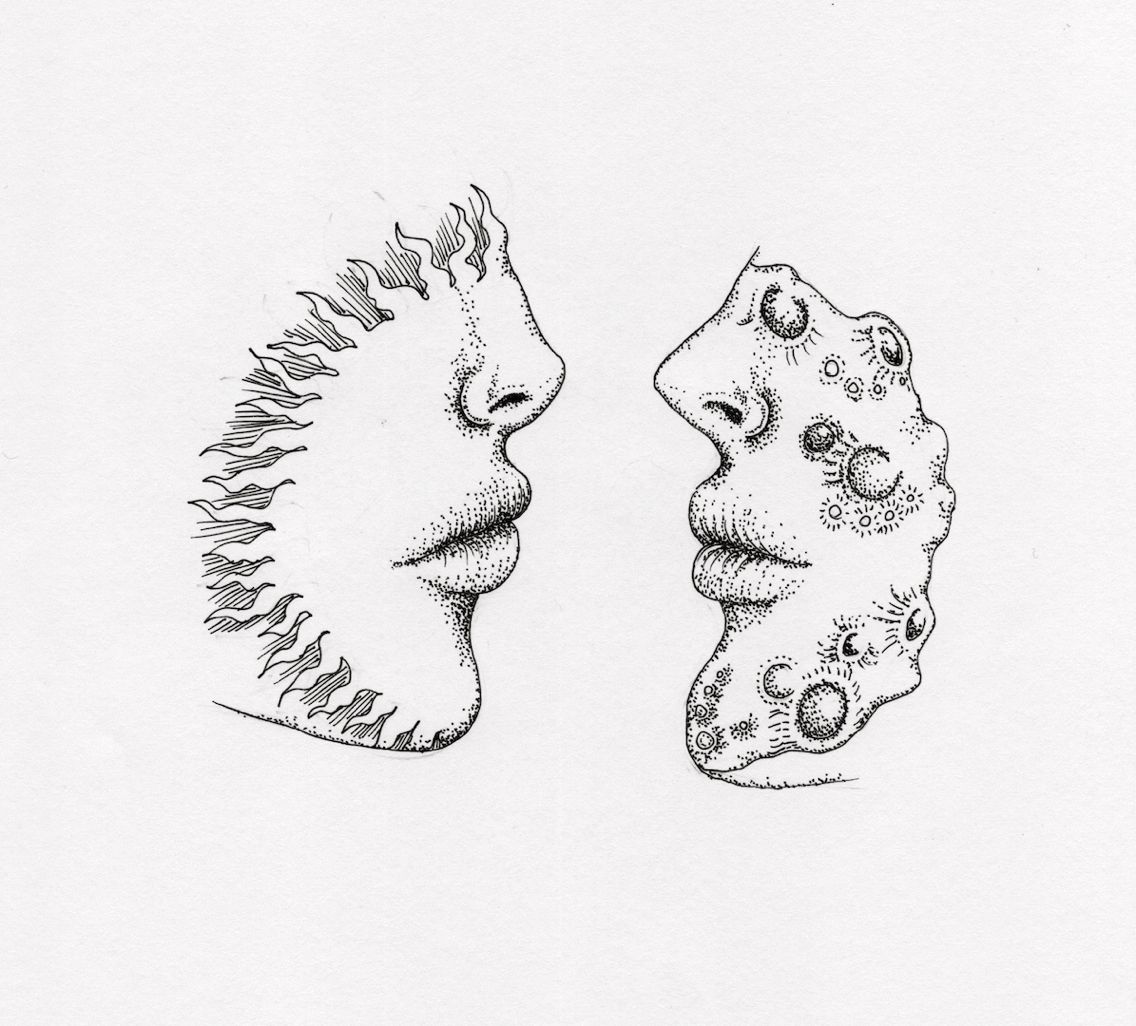 1136x1026 Pin By Gabby Dixon On Things I Really Like Moon