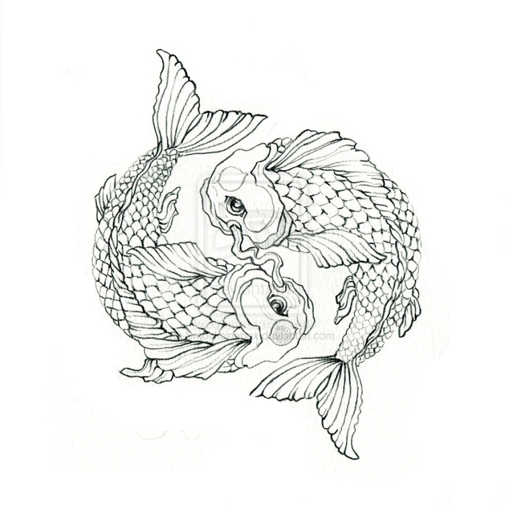 1024x1024 Japanese Koi Fish Drawing At Getdrawings Free For Personal Use