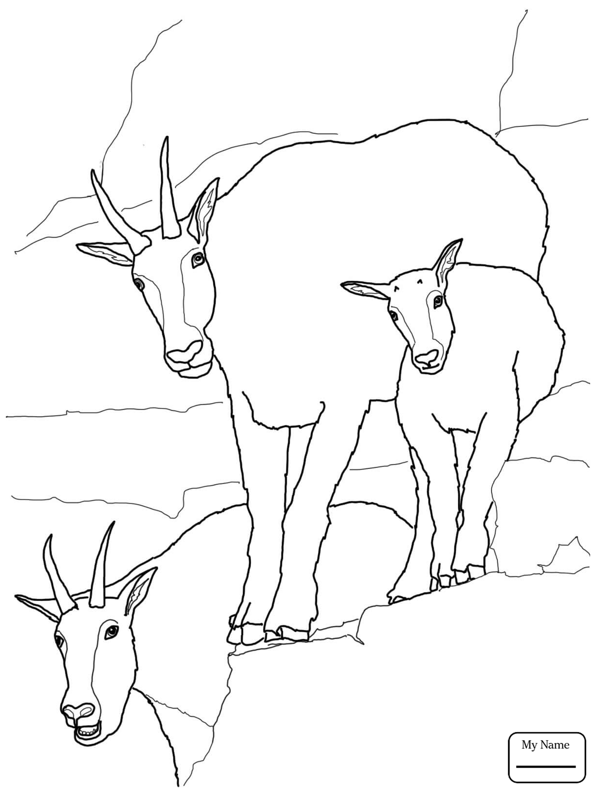1224x1632 Mountain Goat Clipart Head