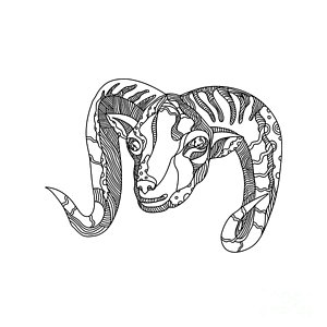 300x300 Mountain Goat Digital Art Fine Art America