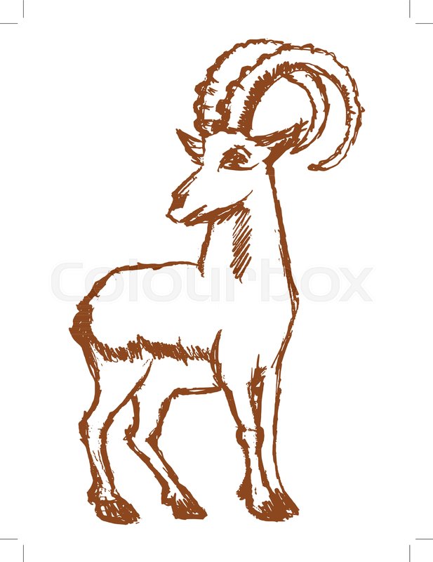 617x800 Vector, Sketch, Hand Drawn Illustration Of Mountain Goat Stock