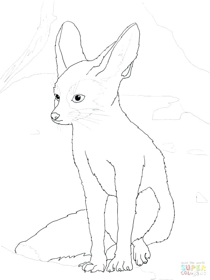 720x960 Mountain Lion Coloring Page Pages Get This Printable W Chayo.win