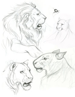 247x320 The Reimold Effect Lions And Tigers And Mountain Lions Oh My!