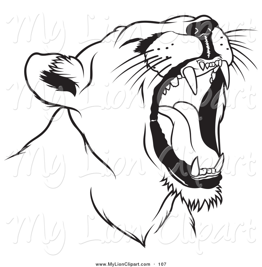 1024x1044 Mountain Lion Clipart Roaring Lion