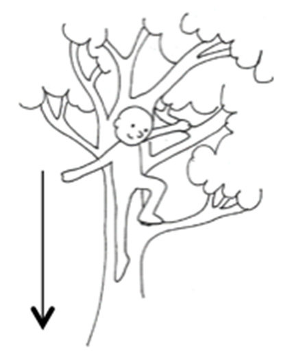 423x524 Drawings 1 12, Depicting An Individual Moving In Different