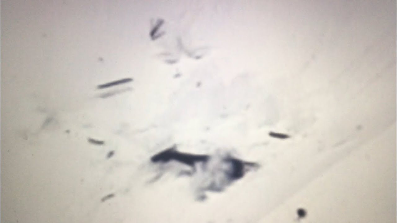 1280x720 The Mount Hood Rescue Helicopter Crash