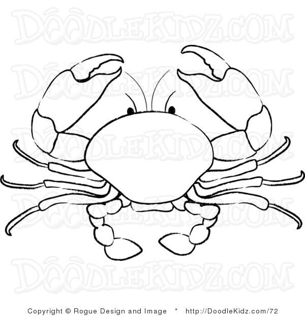 600x620 Collection Of Mud Crab Drawing High Quality, Free Cliparts
