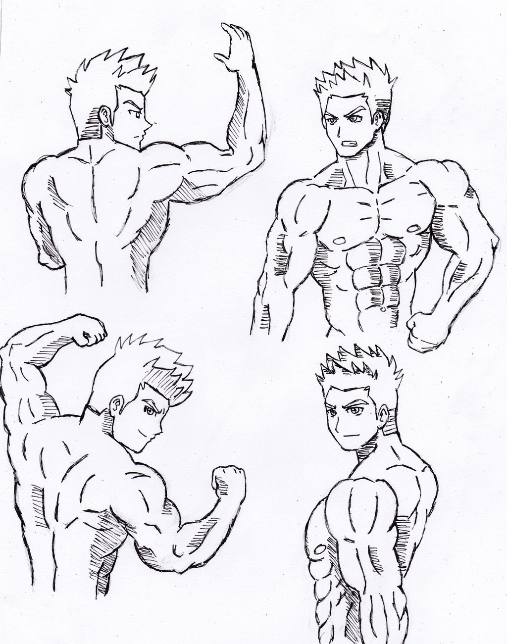 1024x1301 Cellar Flexing Muscles By Zepholus