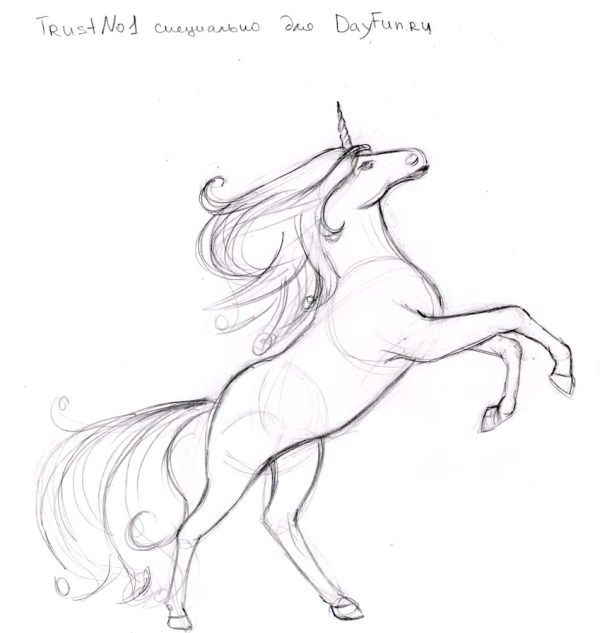 600x633 Collection Of Unicorn Sketch Drawing High Quality, Free