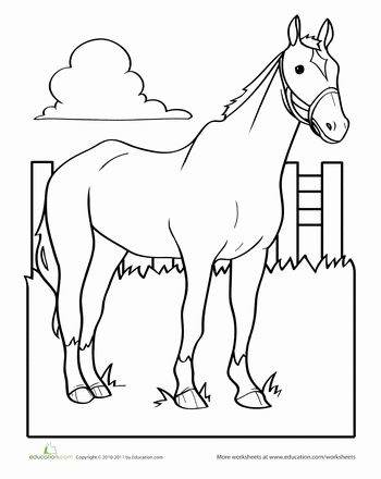 350x440 115 Best Clip Art Horses Images On Horses, Horse