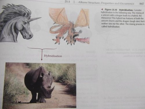 500x375 Organic Chemistry Textbook The Rhinoceros Is Hybrid