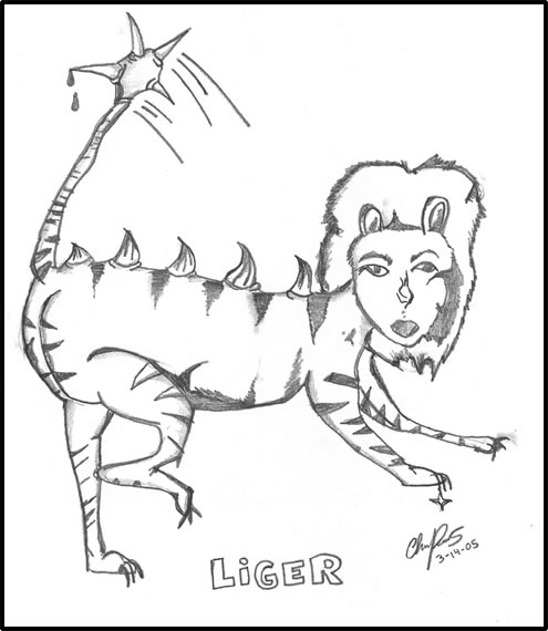 495x570 Collection Of Napoleon Dynamite Drawing Liger High Quality
