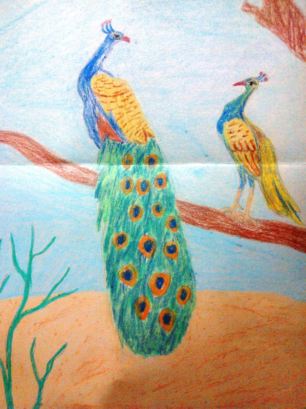 1024x1365 Peacock India's National Bird By Moumita28