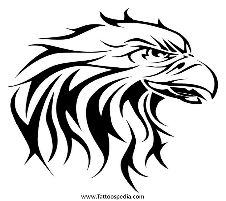 Native American Eagle Drawing at GetDrawings | Free download