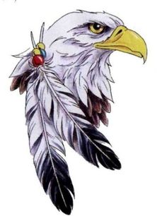 236x306 Native American Eagle Head Drawing