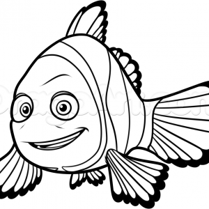 Nemo Outline Drawing at GetDrawings | Free download