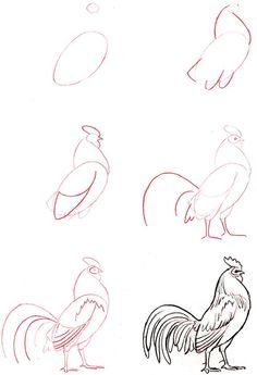 236x345 How To Draw A Bird Step By Step Easy With Pictures