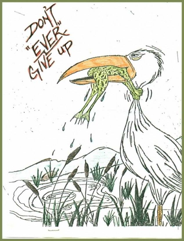 634x831 Never Give Up! Frog And Lizard Vs. Birds Frogs, Bird