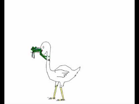 480x360 Don L Frog Bird Choke.wmv