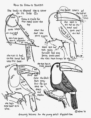 320x414 299 Best Step By Step Drawings Images On Drawing