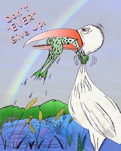 Never Give Up Drawing Frog Bird at GetDrawings | Free download