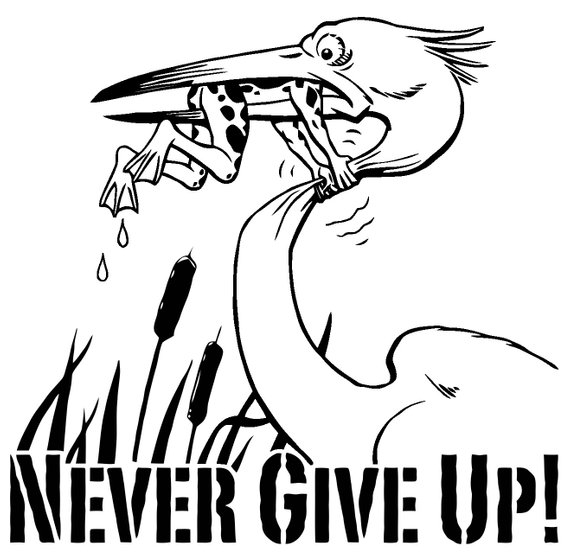 Never Give Up Drawing Frog Bird at GetDrawings | Free download