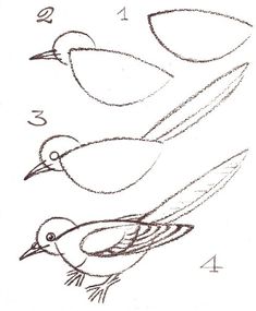235x285 Great Tips On How To Draw A Bird!