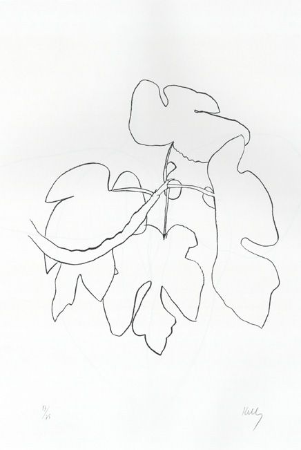 436x651 81 Best Ellsworth Kelly Drawings Images On Ellsworth