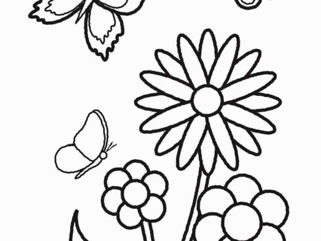 640x480 The Images Collection Of Drawing Ideas Easy Flowers Lily Nice