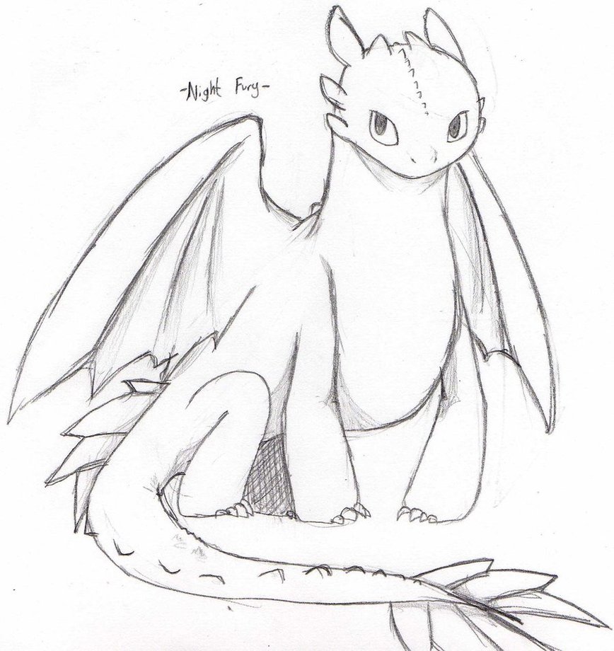 868x920 Collection Of Night Fury Drawing High Quality, Free Cliparts